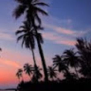 Meet your Posher, Piper